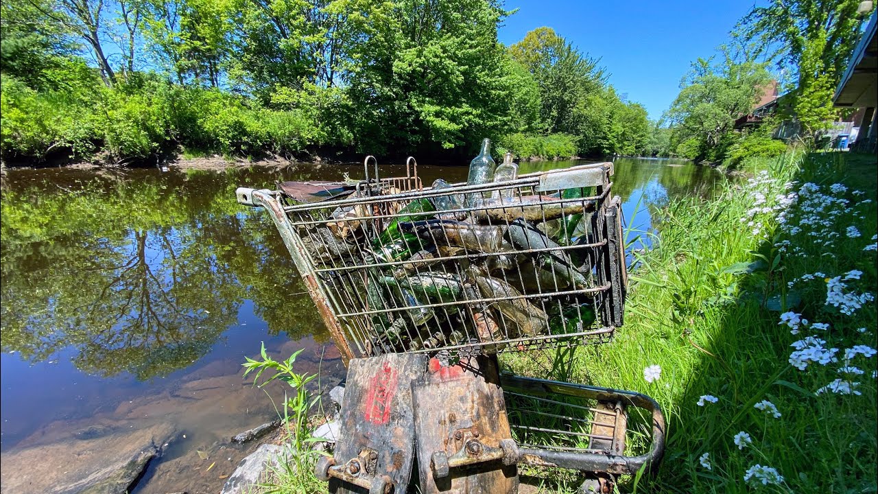 Filled an entire shopping cart with bottles found in the Sackville