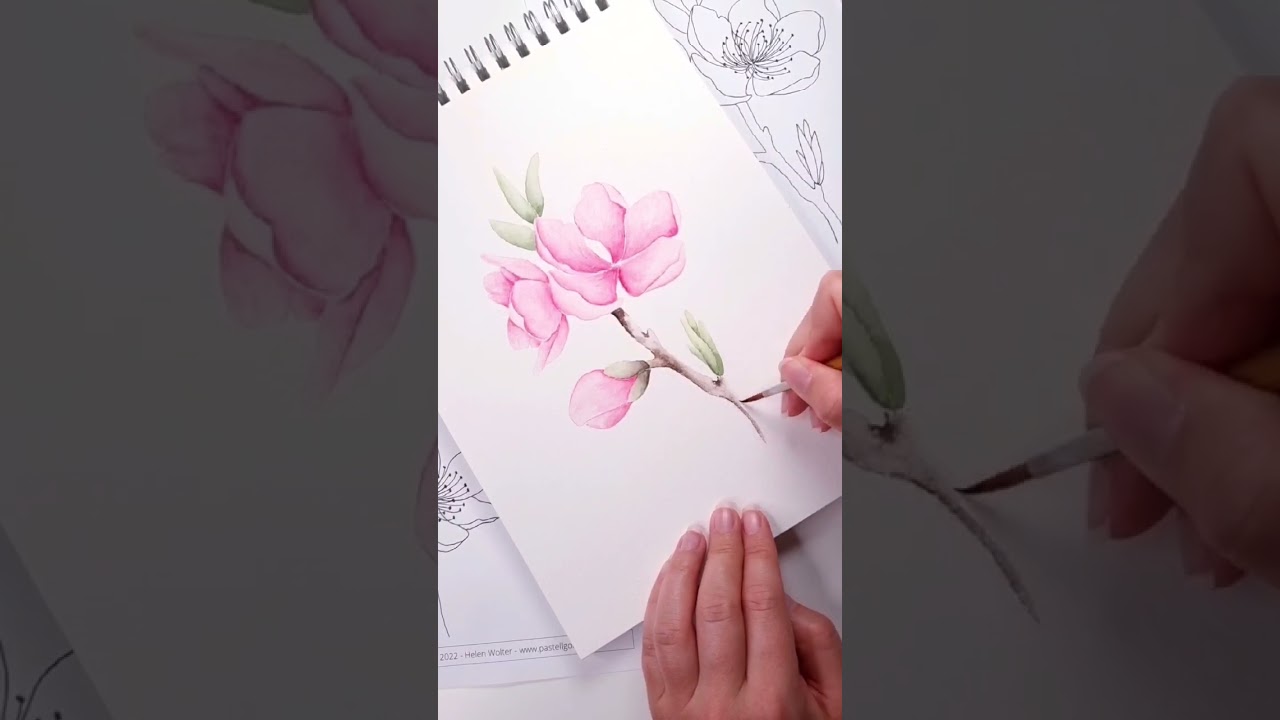 Malen mit Aquarellfarben: Pfirsichblütenzweig