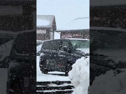 Splendida Nevicata al Rifugio Sapienza sull'Etna - 31 Gennaio 2026