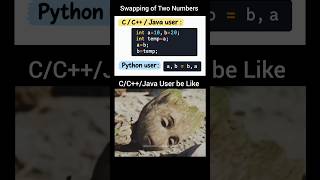 C/C  /Java vs Python Users 😂🐍 | Every Programmer Can Relate! 💀 #Shorts #coding #memes #funny