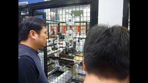 Auto Folder Stitcher Gluer Machine testing running at SINO exhibition in ShangHai