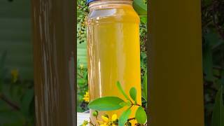 Venha ter Mel no Quintal  #mel #captura #bee #honey #ouro