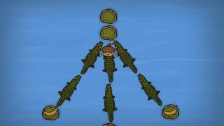 Coding Adventure Trailer