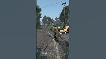 Caging The Bird DayZ