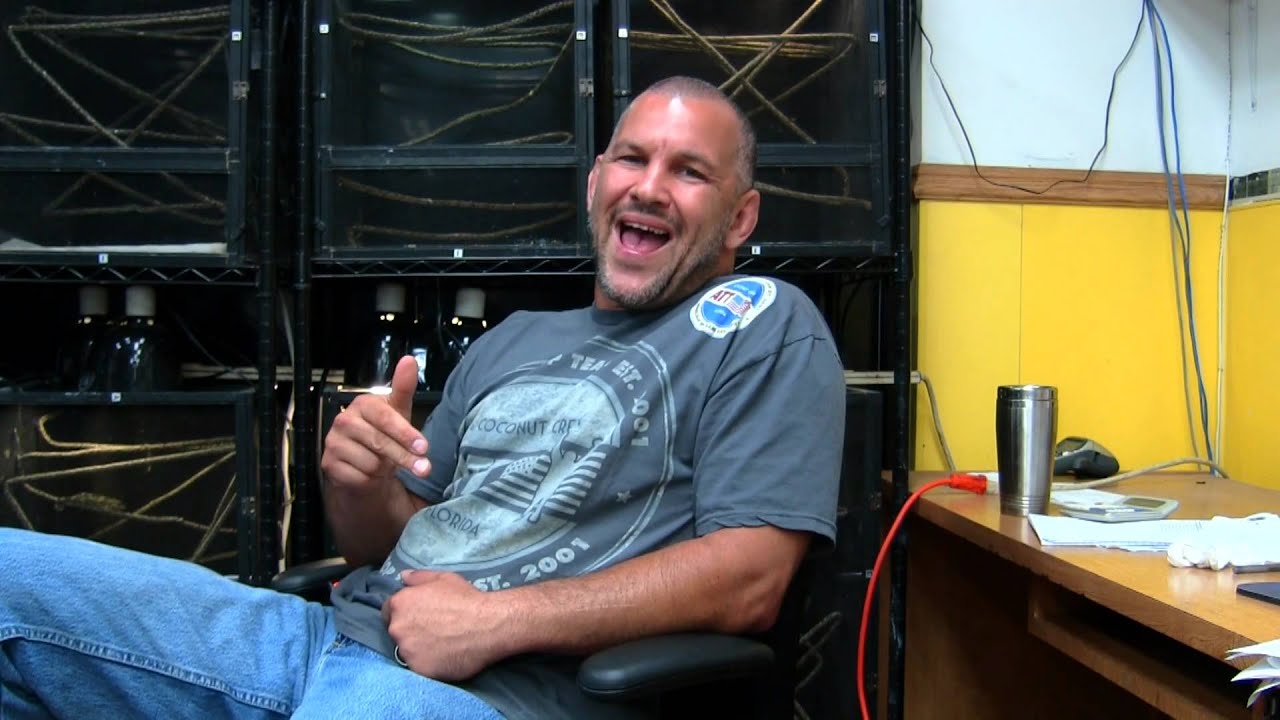 leopard print HATERS BANNED!