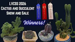 And the Winners Are | 2026 First LVCSS Cactus & Succulent Show and Sale (part 2)