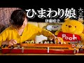 【大正琴】伊藤咲子「ひまわり娘」covered byひっとん【多重録音】【4パート演奏】