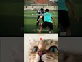 #lifeisbutadream #whowillbemylifepartnerta #cat #ekmotahathighumechala # food boll