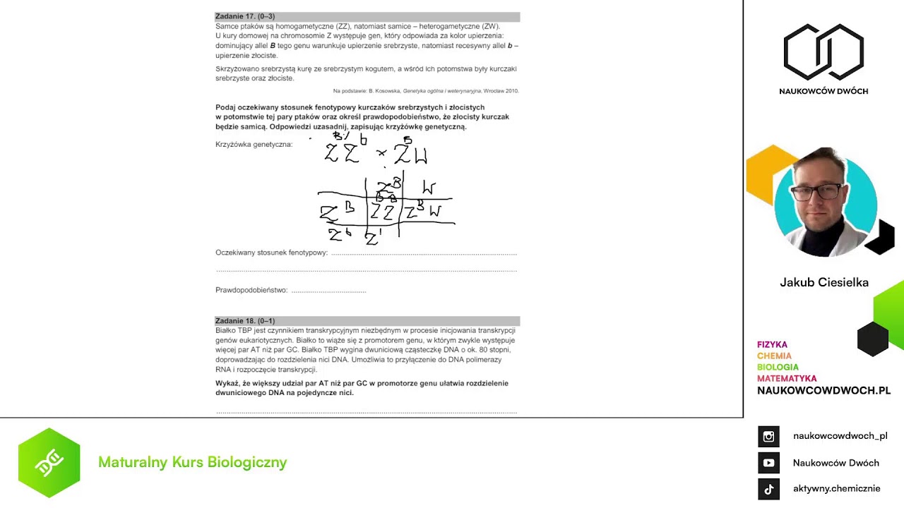 🟢 Biologia: Genetyka molekularna i dziedziczenia genów - YouTube