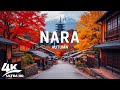 Autumn in Nara - Japan 4K UHD 🍁 Ancient Temples, Red Maple Trees & Relaxing Piano Melodies