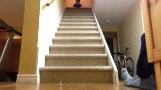 MINI BOWLING TRICK SHOTS!
