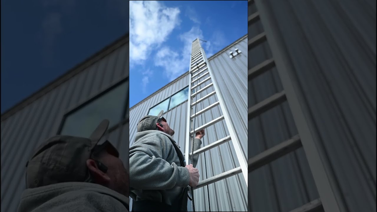 Solo 40 Extension Ladder