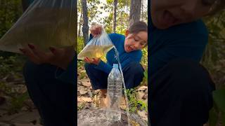 Survival Skills: easy methood saving water transfer to bottle #camping #bushcraft#smart