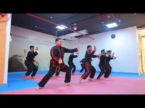 Kungfu Seven Steps
