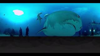 Tiger Shark in 360 _ Bahamas