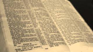 Free Bible Download screenshot 5