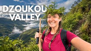 Nagaland's Dzukou Valley... I Wasn't Expecting This