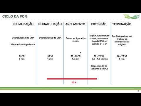 Vídeo: Diferença Entre Primers De PCR E Primers De Sequenciamento