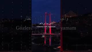 الاغنية التركية المشهورة عشق سري Gizli Aşk #مترجمة #تركيا #اسطنبول #تركية #istanbul #dz #shorts #fyp