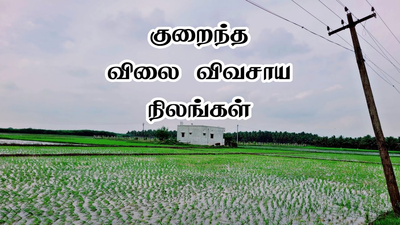 அதிக பணம் கொடுத்து நிலம் வாங்காதீர்கள் |@Goindiagreen #agriculture #land #farming #madurai #money