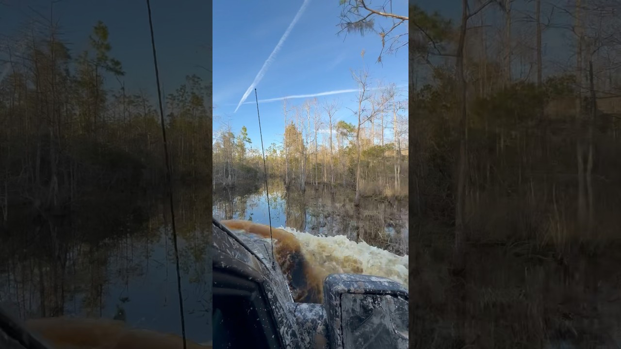 Beautiful Florida Trails 