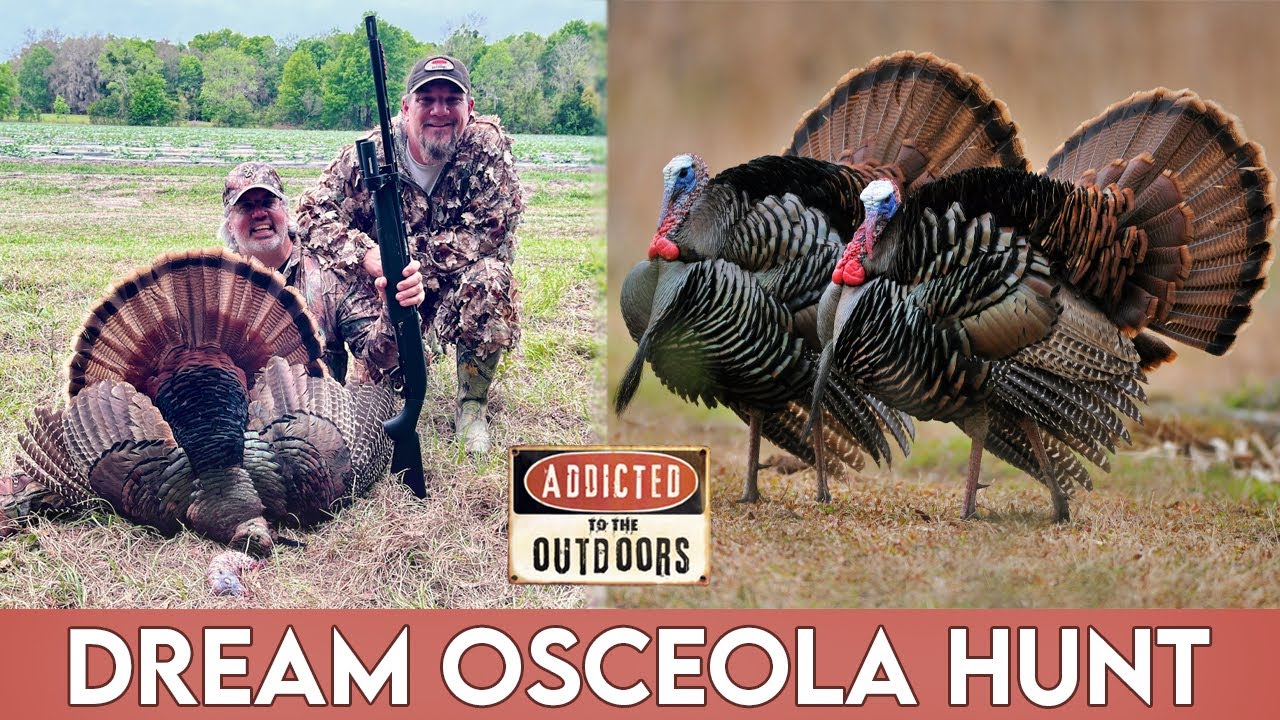 Turkey Hunting & Florida Living with Browning’s Tom Rainey 🦃🌴 | Addicted to the Outdoors S14E08