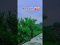 #apnagaon #villagevlog #naturelovers
