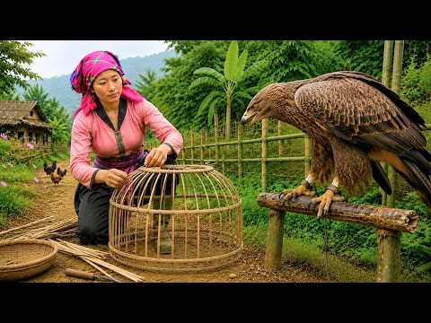 30 Days Raising an Eagle, Catching Snakes for Food and a Touching Ending | Farm Girl Daily