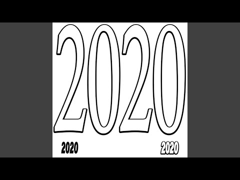 20203