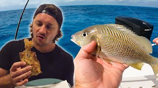 Deep Fried Grunt {Try THIS!} catch and cook by South Florida Fishing Channel 20,175 views 3 months ago 38 minutes