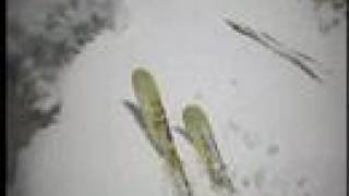 Gorjanska Smer, Triglav