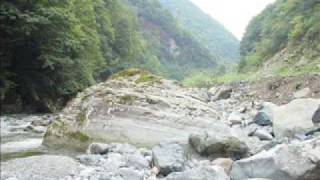 yeşil Arhavi