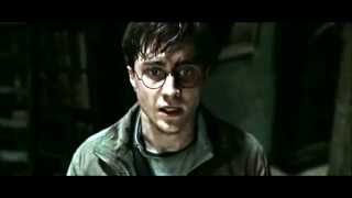 Video thumbnail of "Harry Potter - Immortals"