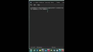 How to Get IE on every windows 11 edition using VBS #amnewbutnottheleast