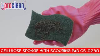 Cellulose Sponge With Scouring Pad_CS-0230