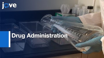 Drug Administration to Zebrafish and Withdrawal Quantification | Protocol Preview