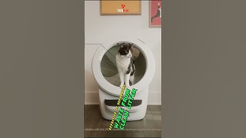 Litter robot 4 review #shorts