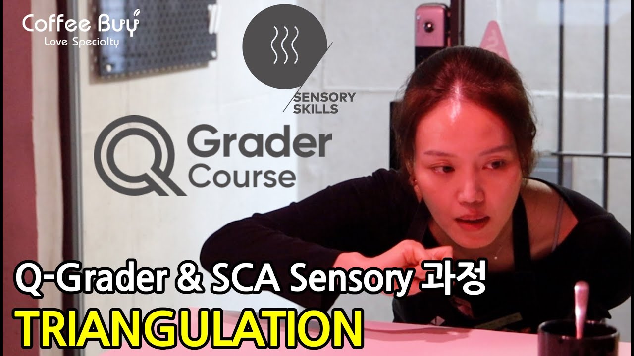 SCA(스페셜티커피협회) 커피 바리스타 센서리 자격증 교육 과정 Triangulation | SCA Coffee Sensory & Q-Grader Course