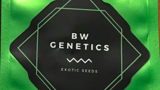 BW Genetics Mail Call!!!