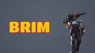 What Does BRIM Means || Meanings And Definitions With Example in ENGLISH