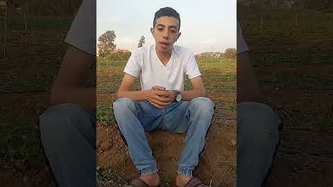 ما تيسر من سوره الأحزاب وإبداعات الفيديو الكامل 