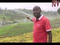On The Farm Kapchorwa Farmer Overcomes Unpredictable Weather With Irrigation Farming