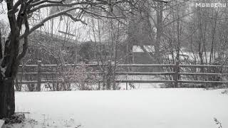 【白噪音】\ 【白噪音】\