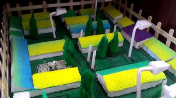 Kreatif Siswa SMK Lampu Taman Sekolah Otomatis menggunakan LDR TEI SMKN 1 Jabon