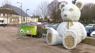 Yvelines | Le broyage de sapins : un geste écologique