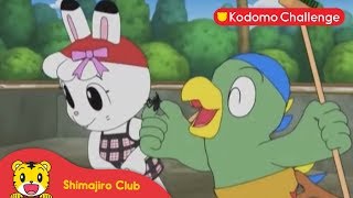 Shimajiro | Pendidikan Anak | Membersihkan Kolam Renang Ep.38.2 - Kodomo Challenge