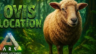 Ovis spawn location Ark Acended ASTRAEOS MAP.