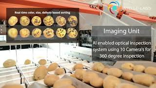 Intello Labs Integrated Sorting Packing Automatic System   Potato shortvideo