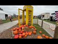 Farmer Copley's Pumpkin Festival: Inside the UK's largest pumpkin patch