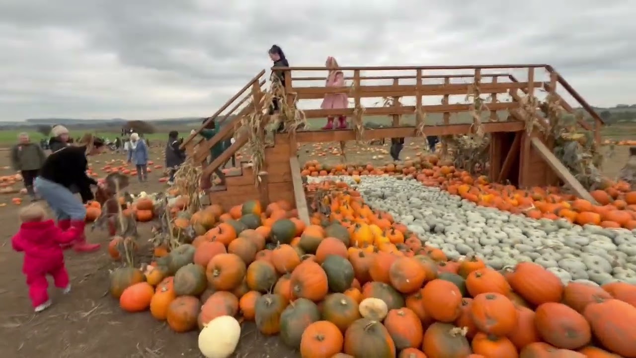 Farmer Copley's Pumpkin Festival: Inside the UK's largest pumpkin patch